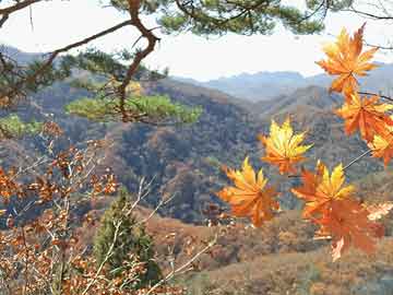 中山美林春天最新楼价揭秘，探索理想家园的旅程！