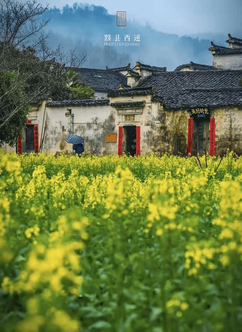 黟县最新招聘揭秘，小巷深处的职业机遇等你来探索！