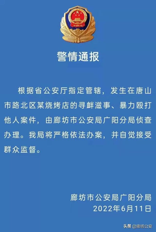 广饶最新打架斗殴事件深度分析与观点阐述