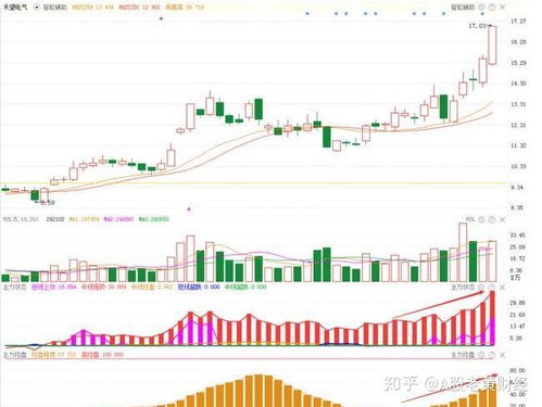 鹏欣资源股票行情分析与小巷深处的独特风味探索