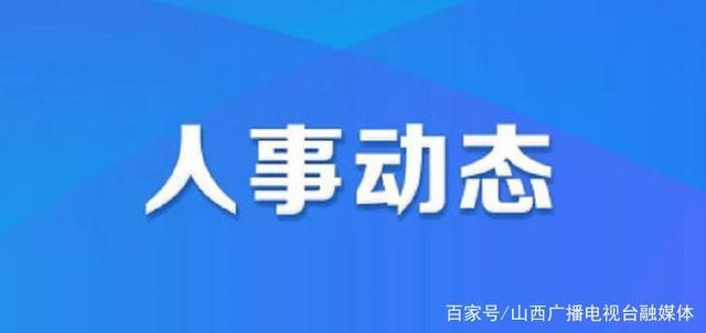 徐州市最新人事任免动态及观点论述