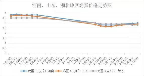 今日全国鸡蛋价格行情走势分析与论述