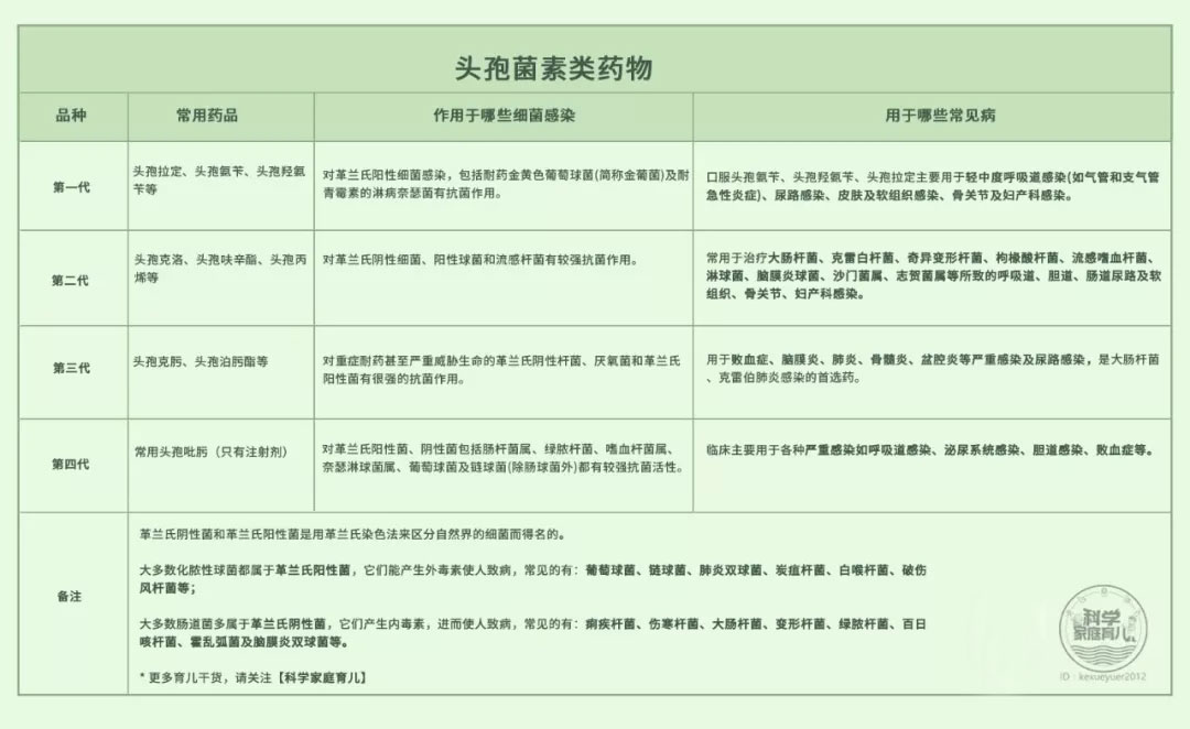 最新头孢类抗生素，变革之力与自信成就之源